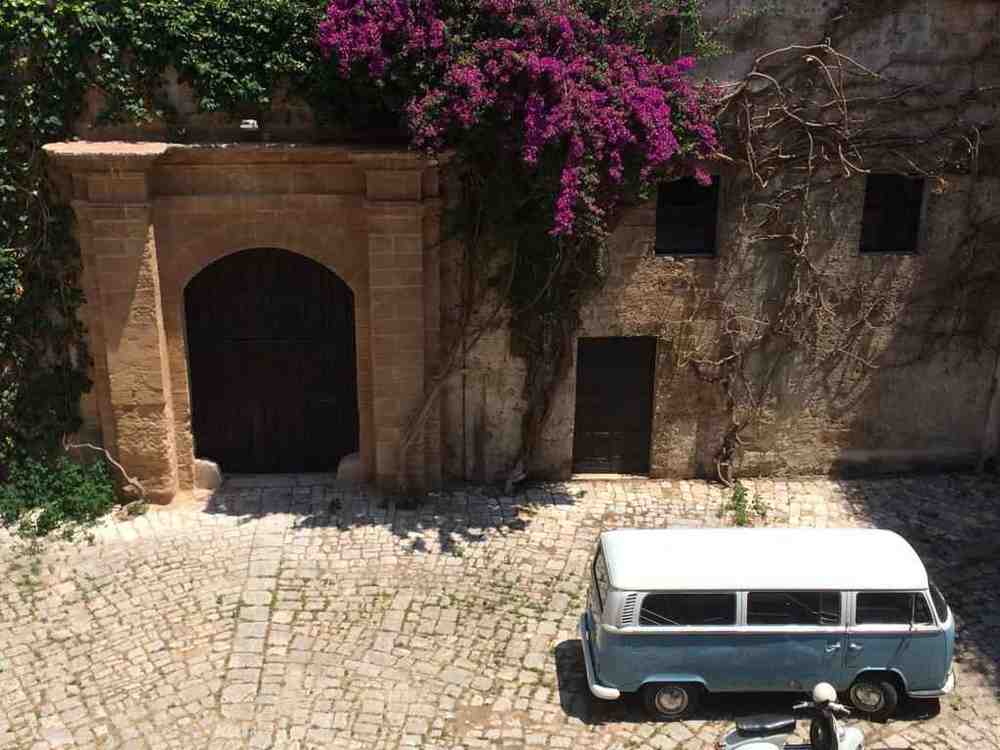 VW van bougainvillea