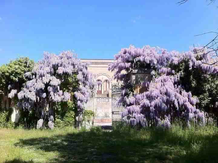 Wisteria villa